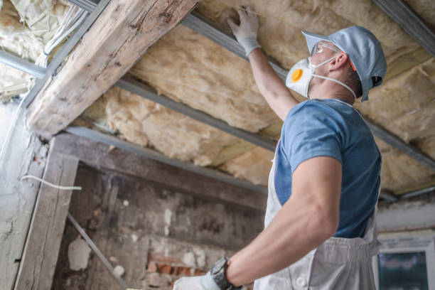 Best Commercial Insulation in Wainaku, HI