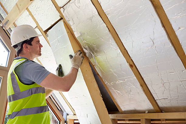 Best Specialty Insulation in Wainaku, HI